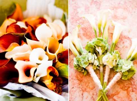 A side-by-side detail flat lay of two floral arrangements. On the left, a close-up of a bridal bouquet composed of calla lilies in a gradient of deep burgundy, rust orange, peach, and cream tones, tightly clustered together. On the right, three individual calla lily stems in white and pale yellow are laid flat on a pink marbled surface, each stem wrapped in white ribbon and topped with clusters of green hydrangea blooms, likely intended as bridesmaids' bouquets or buttonholes. The overall floral palette is warm autumn-toned for the bridal bouquet contrasted with a fresh white-and-green scheme for the secondary pieces.