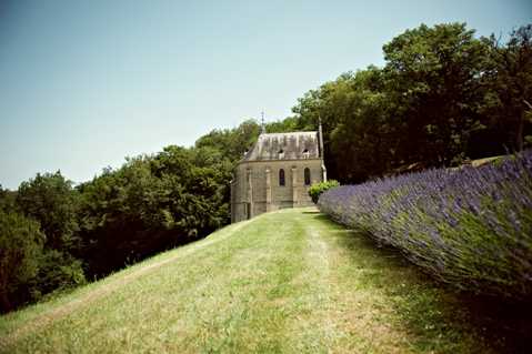 Wide-angle exterior shot of a small historic stone chapel situated on a hillside, with a long row of blooming purple lavender lining a path or wall in the foreground right. No people are visible in the image. The chapel features Gothic-style architecture with pointed rooflines and arched windows. The shot appears to be a venue grounds photograph taken in bright midday natural light. Potential venue feature image.