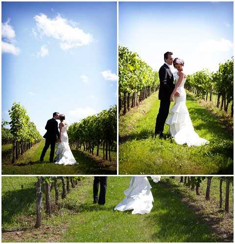 A three-image collage of couple portraits taken outdoors in a vineyard during what appears to be late spring or early summer, with rows of green vines visible in each frame. The bride wears a white mermaid-silhouette gown with a ruffled train, and the groom is dressed in a classic black suit. The top-left image shows the couple kissing at the end of a vine row in a wide shot, while the top-right portrait shows them standing close together, the bride resting her head near the groom's shoulder. The bottom image is a wider low-angle shot capturing the bride's dress train sweeping across the grass between vine rows as the couple walks, giving a sense of movement. The overall styling is clean and classic, shot in full color with bright, natural daylight.
