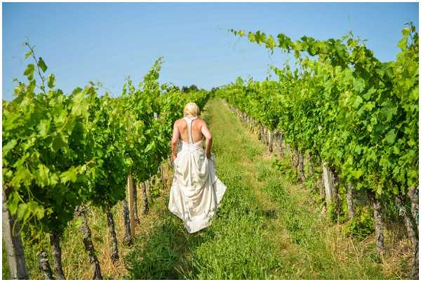 A bride walks away from the camera along a grass path between two rows of grapevines in an outdoor vineyard setting. She wears a sleeveless ivory gown with a low open back featuring a halter-style strap detail, and her blonde hair is worn up. The shot is a wide portrait taken from behind, with the vine rows creating strong leading lines toward the horizon. The dress has a gathered, slightly draped skirt that brushes the ground as she walks.