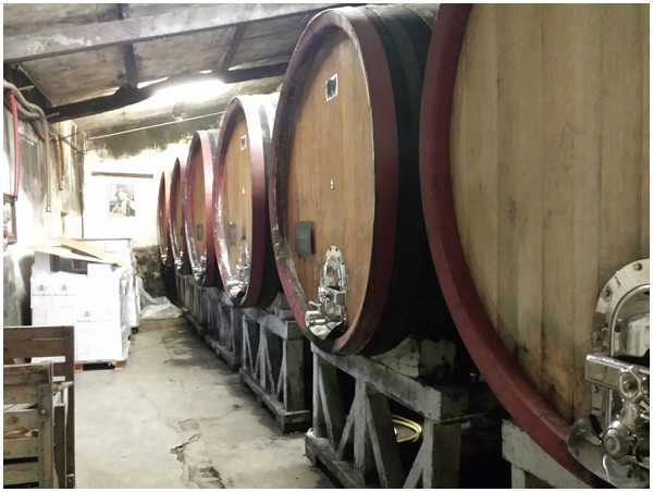 This image shows the interior of a winery cave or cellar, featuring a row of large oak wine barrels with dark red metal hoops mounted on wooden and metal stands along a concrete floor. The space is dimly lit with a single overhead light, revealing aged stone and plaster walls, stacked wine cases on the left, and winemaking equipment visible on the right. No people, wedding party, or wedding-related decor are present in this image. This appears to be a venue or property feature shot rather than a wedding photograph.