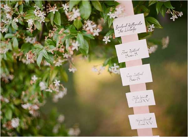 A close-up detail shot of a wedding seating chart display featuring white escort cards with calligraphed guest names and table numbers, attached vertically to a blush pink ribbon. Five cards are visible, each handwritten in dark ink script. The display is positioned outdoors near a flowering tree branch with small white blossoms. The soft bokeh background shows warm golden and green tones. The overall decor palette is blush and white with a classic, romantic styling approach.