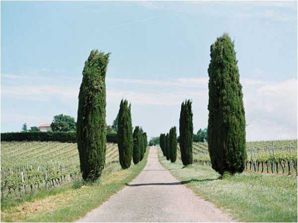 Wide shot of a long straight driveway lined with tall cypress trees leading toward a property partially visible in the background, flanked on both sides by rows of grapevines indicating a vineyard estate. No people are present in the frame. The shot is taken from ground level along the central axis of the driveway, emphasizing the symmetrical avenue of cypress trees receding into the distance. Potential venue feature image.