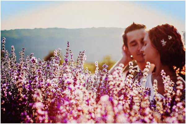 A couple shares a kiss in an outdoor portrait taken in a lavender field, with the bride and groom intentionally blurred in the background while rows of purple and white lavender blooms fill the sharp foreground. The bride wears a white dress and has small white floral pins in her hair, while the groom wears a dark suit. Warm golden-hour sunlight backlights the scene, creating a glowing halo effect around the couple. The composition is a mid-distance portrait with the lavender field used as the primary foreground subject, shot with a shallow depth of field.