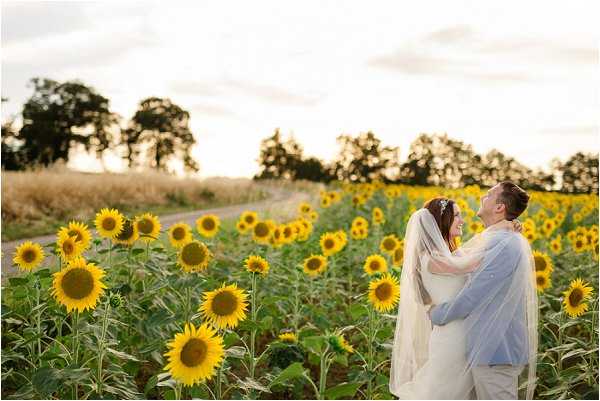 A bride and groom share a close embrace in the middle of a large sunflower field, with the groom looking down at the bride as she gazes up at him. The bride wears a white gown with a long flowing veil and a hair accessory, while the groom is dressed in a light blue shirt and light-colored trousers. The sunflowers, in full yellow bloom, surround the couple at chest height, creating a natural frame around them. This is a wide mid-distance portrait shot taken during golden hour, with warm soft light illuminating the couple against a backdrop of the field, a dirt path, and trees in the distance.