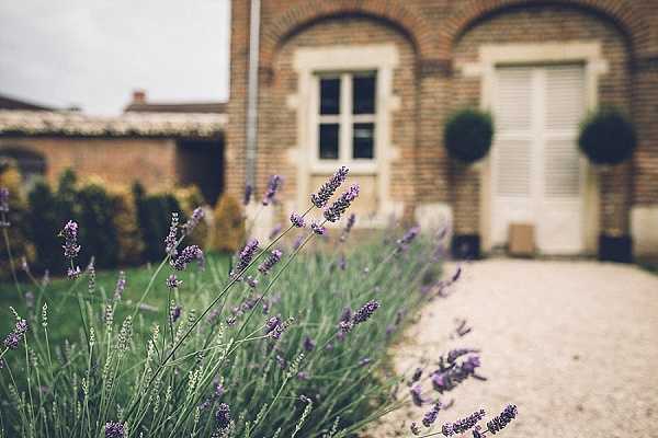 A detail/close-up shot of purple lavender in bloom in the foreground, with a French brick manor house softly blurred in the background. The building features arched windows, white shutters, and a gravel courtyard entrance flanked by topiary ball trees. No people or wedding-specific decor are visible in the frame. Potential venue feature image.