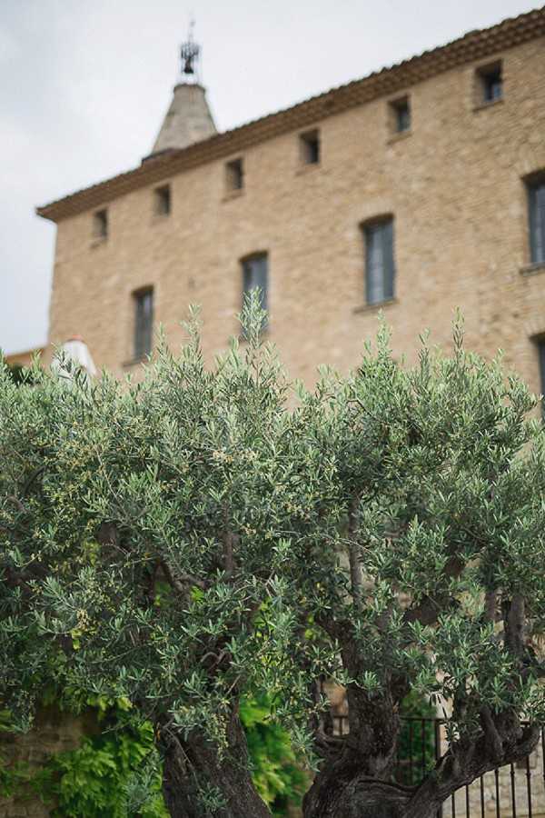 Exterior shot of a multi-story stone building with a pointed tower/spire, characteristic of a French chateau or historic mas, shot from ground level with an olive tree in sharp focus in the foreground and the building softly blurred in the background. No people or wedding-specific decor are visible in the frame. The composition uses the gnarled olive tree as a foreground element against the warm honey-colored stone facade with small rectangular windows. Potential venue feature image.
