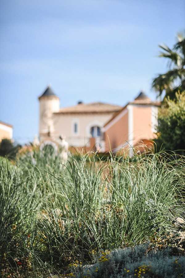 An outdoor venue grounds shot taken from a low angle, with ornamental grasses and low Mediterranean-style plantings in sharp focus in the foreground. In the soft-focus background, a Provençal-style château or manor house is visible, featuring warm terracotta-toned render, a terracotta roof, and two distinctive conical-capped turrets. A palm tree and other mature trees frame the building on either side. The composition is a wide portrait-orientation shot emphasizing the landscaped grounds leading up to the building. No people are present. Potential venue feature image.