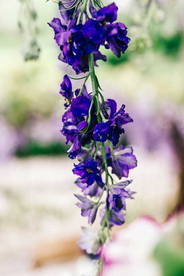 Close-up detail shot of a single stem of deep violet-purple delphinium hanging vertically, with blooms cascading downward along the green stem. The background is heavily blurred with soft green and lavender tones, suggesting an outdoor setting with additional floral arrangements nearby, including a hint of pink blooms at the lower right. The image focuses on the rich purple and blue tones of the delphinium florets as a floral decor detail, likely part of a hanging installation or ceremony arch arrangement.