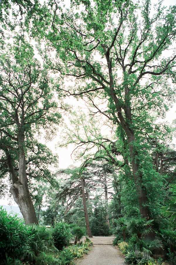 A wide shot of a gravel pathway winding through a wooded garden area with tall, mature trees whose branches spread overhead. No people are visible in the image. The path is flanked by low-growing shrubs, ferns, and palm-like plants. The overall palette is soft green with muted, overcast natural light. This appears to be a venue grounds shot with no wedding-specific elements visible. Potential venue feature image.