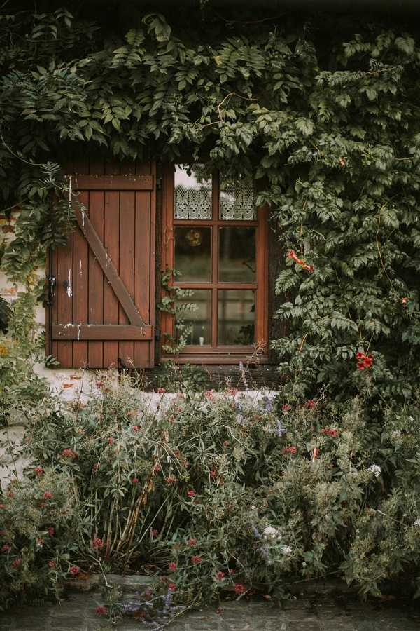 A close-up architectural detail shot of a rustic building facade featuring a weathered dark wood shutter and a multi-pane window with white lace curtain trim visible inside. The exterior wall is heavily covered in climbing vines and foliage, with wild cottage-garden plantings growing densely in front of the wall, including small red blooms and blue-purple wildflowers. No people are present in the frame. The muted, moody toning and rustic wood details suggest a rural French countryside property. Potential venue feature image.