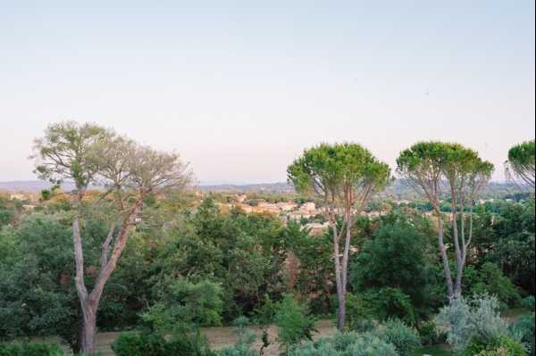This image shows a wide landscape view of a wooded area with tall umbrella pine trees and dense green foliage in the foreground, with a small Provençal village or town visible in the middle distance. No people, wedding decor, or wedding-related activity are visible in the frame. The shot appears to be taken from an elevated position, likely from a venue terrace or upper floor, during golden hour based on the warm, soft light. This image primarily documents the surrounding landscape rather than a wedding moment.