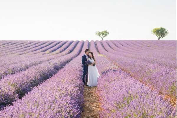 A couple poses for wedding portraits in a vast lavender field in full bloom, with rows of purple lavender extending to the horizon on either side of them. The bride wears a white gown and holds a small bouquet, while the groom is dressed in a navy suit; they embrace in the narrow path between two lavender rows. The wide-angle shot places the couple at the center of the composition, emphasizing the scale of the purple field stretching into the distance. The overall styling is romantic and natural, with the lavender field serving as the sole decorative backdrop.