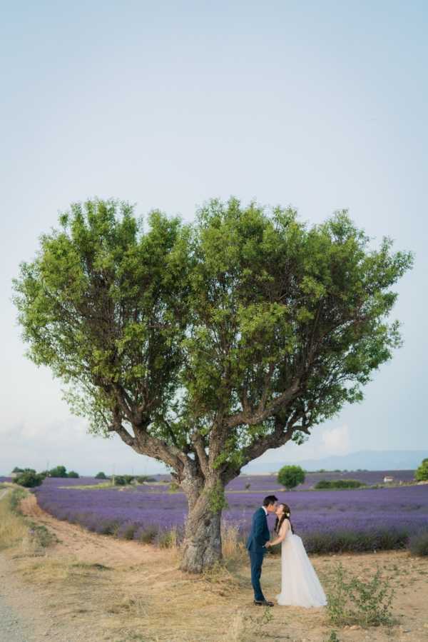 A couple shares a kiss during an outdoor portrait session beside a large solitary tree at the edge of a lavender field in Provence. The bride wears a white tulle gown with a flowy skirt and has a floral hair accessory, while the groom is dressed in a navy blue suit. Rows of purple lavender fields extend across the background, creating a vivid color contrast against the dusty earth path in the foreground. This is a wide portrait shot with the couple positioned small within the frame to emphasize the expansive landscape setting.