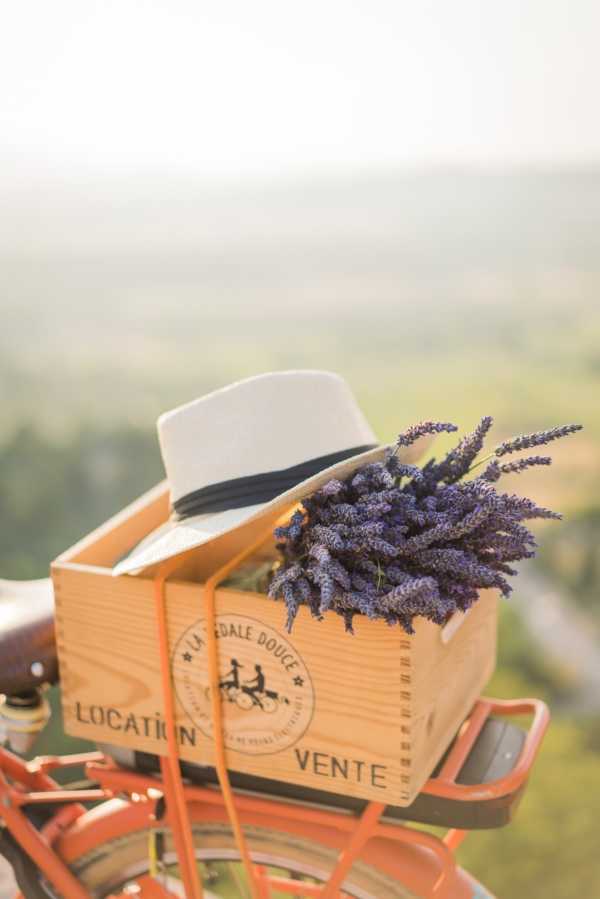 A close-up detail shot of a wooden crate branded with 'La Pédale Douce – Location Vente' mounted on the rear rack of an orange/coral vintage-style bicycle. The crate holds a bundle of fresh purple lavender and a cream-colored wide-brim fedora hat with a dark navy band. The styling is rustic Provençal in theme, using lavender and a bicycle as decorative props. The background is softly blurred, suggesting an elevated outdoor location overlooking open countryside.