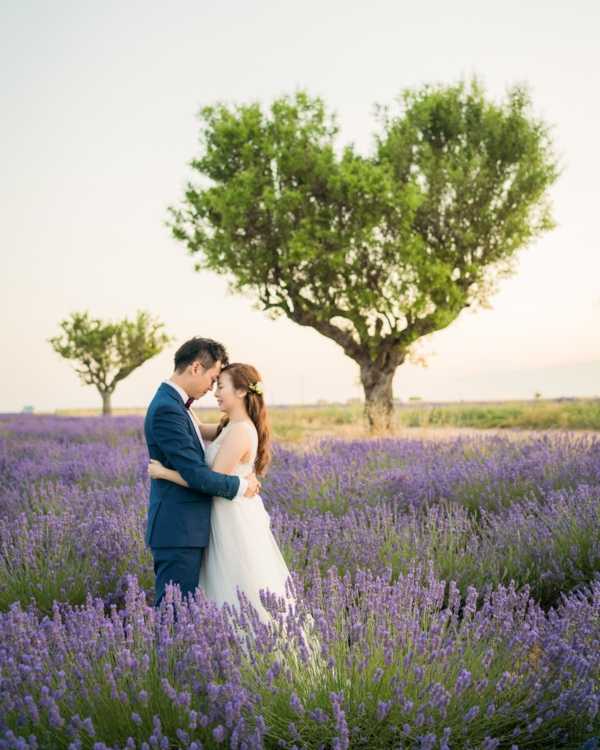 A couple shares an intimate embrace during an outdoor portrait session in a Provence lavender field in full purple bloom. The groom wears a navy blue suit with a dark bow tie, while the bride wears a strapless white ball gown with a small floral hair accessory. They are standing face-to-face with foreheads nearly touching, surrounded by rows of purple lavender extending to the horizon. A large, rounded tree is centered directly behind them, creating a natural frame, with a second smaller tree visible to the left. The shot is taken at golden hour, giving the scene a warm, soft light. Medium portrait composition, shot at mid-distance to include the couple full-length within the lavender.