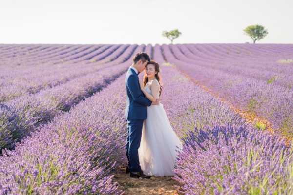 A couple poses for a portrait in the middle of a blooming lavender field in Provence, with rows of purple lavender extending into the distance on either side. The groom wears a navy blue suit, while the bride wears a sleeveless white tulle ball gown with her hair styled up. They stand close together in an embrace, the groom leaning his head toward the bride who looks gently toward the camera. The shot is a mid-range portrait with the lavender rows creating strong leading lines toward the horizon.