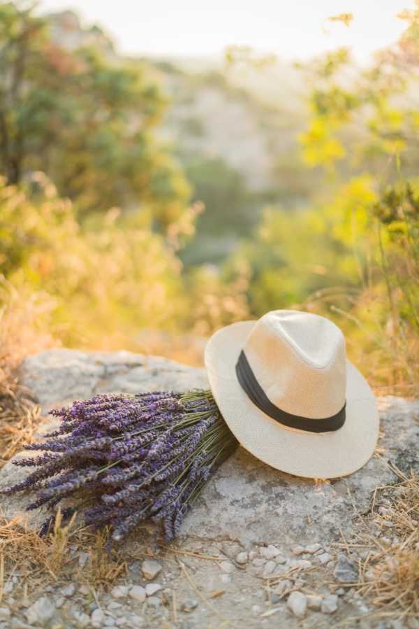 A close-up detail shot of a cream-colored panama-style hat with a dark navy grosgrain band resting on a flat rock alongside a bunch of dried purple lavender, styled together as wedding accessories or props. The composition is shot outdoors in warm golden light with a softly blurred natural background, suggesting a Provençal or countryside setting. The styling is rustic and relaxed, with the lavender and hat pairing evoking a South of France aesthetic. No people are visible in the frame.