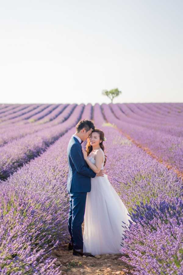 A couple portrait shot outdoors in a lavender field, likely in Provence, with rows of purple lavender extending to the horizon and a single tree visible in the background. The bride wears a white strapless tulle ball gown and the groom wears a navy blue suit; they embrace in the pathway between the lavender rows as the bride smiles toward the camera. The shot is taken at golden hour, with warm soft light illuminating the couple from the side. This is a mid-length portrait composition with the lavender field providing a strong leading-line background.