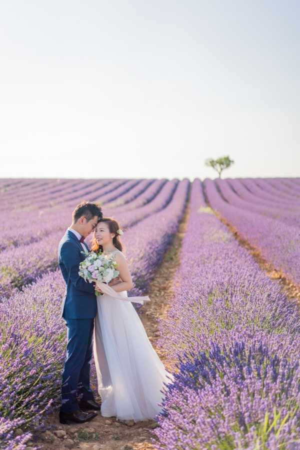 A couple poses for a portrait session outdoors in a lavender field in full bloom, with rows of purple lavender extending to the horizon and a lone tree visible in the distance. The groom wears a navy blue suit with a burgundy bow tie, while the bride wears a sleeveless white tulle A-line gown with a white ribbon sash and a floral hair accessory. She holds a bouquet of blush pink roses and white blooms with eucalyptus greenery. The composition is a medium portrait shot, with the couple standing between two rows of lavender, the groom resting his forehead against the bride's as she smiles toward the camera.
