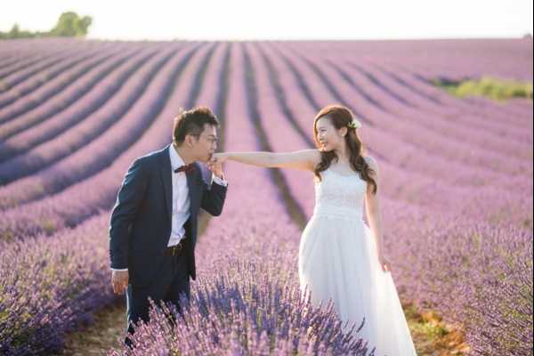 A couple poses for a portrait in a large lavender field in full purple bloom, likely in Provence. The groom, wearing a navy suit with a burgundy bow tie, bends to kiss the bride's hand while she extends her arm toward him with a smile. The bride wears a strapless white ballgown with a lace bodice and has her hair styled in loose waves with a small green floral accent. The rows of lavender stretch into the background, creating strong leading lines behind the couple. This is a medium-wide portrait shot taken at or near golden hour, with warm soft light across the scene.
