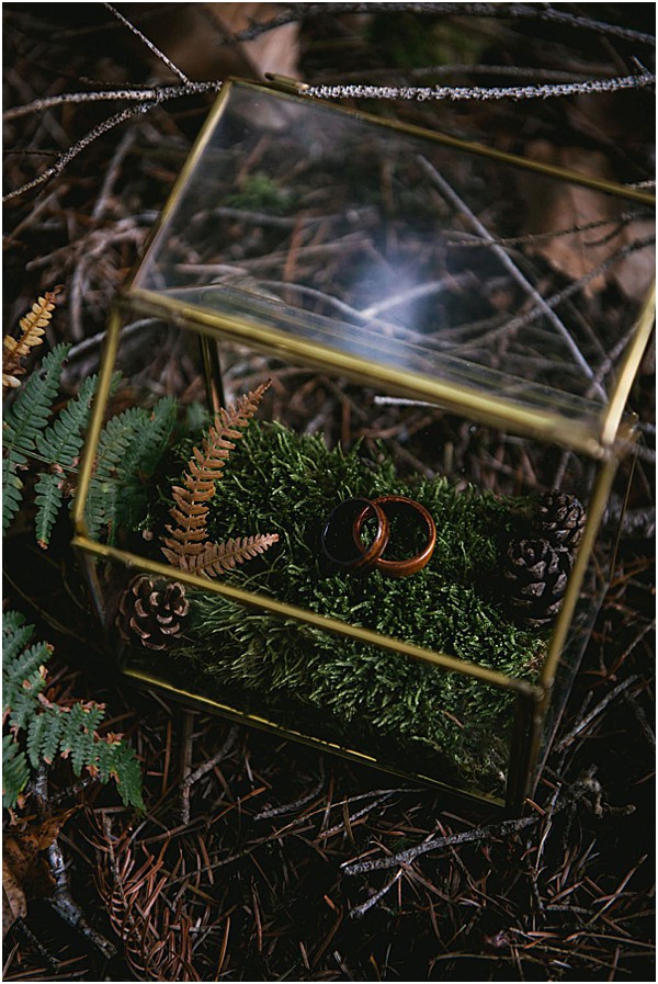 Close-up detail shot of two wedding bands displayed inside an open brass and glass geometric terrarium box. The rings — one gold-toned and one darker, likely black or dark tungsten — rest on a bed of dense green moss inside the box. Dried amber fern fronds and small pine cones are arranged alongside the moss as styling accents, and additional green ferns surround the exterior of the box. The terrarium sits on a forest floor covered in pine needles and small branches, contributing to an organic, woodland-themed aesthetic. The overall styling palette is deep green, warm brass, and earthy brown, consistent with a rustic or boho nature-inspired wedding style.