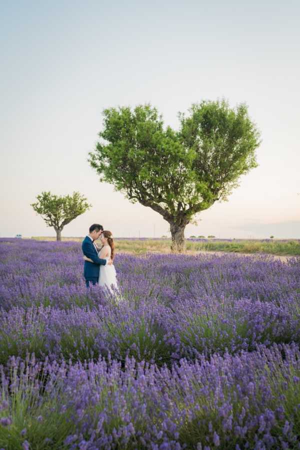 A couple portrait taken outdoors in a lavender field in full purple bloom, likely in Provence. The bride wears a white gown and the groom wears a navy blue suit; they are embracing and facing each other in a romantic pose. The wide-angle shot is composed with the couple centered in the mid-ground, surrounded by rows of purple lavender plants, with two mature trees framing the scene behind them in the soft light of what appears to be early evening.