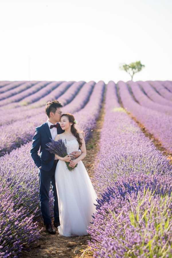 A couple poses for a portrait shoot outdoors in a Provençal lavender field, standing between rows of purple lavender in full bloom that extend to the horizon. The groom wears a navy blue suit with a burgundy bow tie, while the bride wears a strapless white ballgown with a lace bodice; she holds a hand-tied bouquet of fresh lavender stems. The groom stands behind the bride with his arms around her as he leans in to kiss her cheek, and she looks slightly to the side with a soft smile. The shot is a mid-length portrait framed with the lavender rows creating strong leading lines into the background.