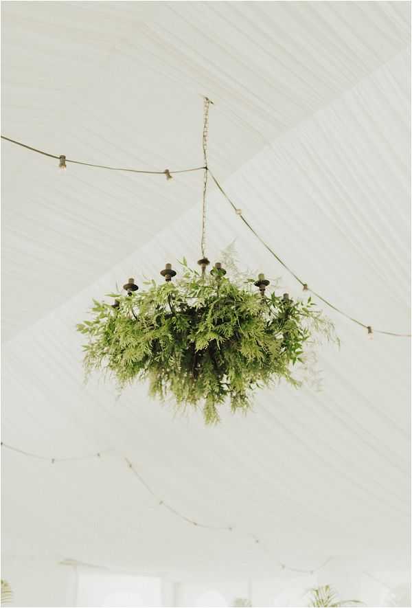 Close-up detail shot of a ceiling installation inside a white draped marquee tent. A dark metal chandelier frame is fully covered and surrounded by lush green ferns and trailing foliage, creating a chandelier-style hanging greenery installation. Thin wire strings of bare Edison bulbs are strung across the white fabric ceiling, adding warm ambient lighting to the space. The overall decor palette is white and green, with a garden-inspired, organic styling approach.