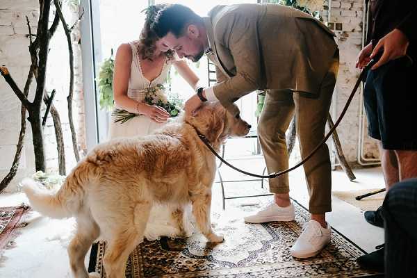 The groom, wearing a tan/khaki suit with white sneakers, bends down to pet a golden retriever on a leash during what appears to be an indoor ceremony or post-ceremony moment. The bride stands just behind him in a white sleeveless dress with a lace neckline, holding a white and greenery bouquet, and is smiling downward at the dog. The setting is an industrial-style interior with whitewashed brick walls, decorative bare branches, and a patterned vintage rug on the floor. A third person, partially visible on the right edge, holds the dog's leash. The composition is a candid medium shot capturing an informal, relaxed moment with a pet included in the wedding day.