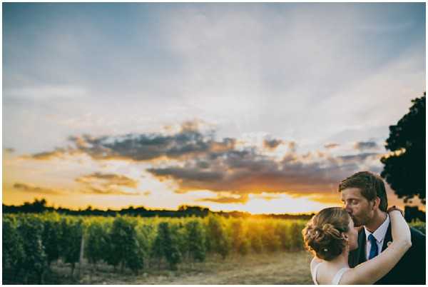 vineyard places to propose in bordeaux