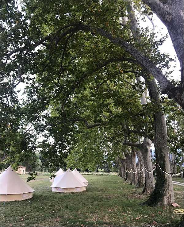 An outdoor wedding glamping setup on the grounds of what appears to be a French estate or chateau property. Several white canvas bell tents are arranged across a lawn beneath a row of large mature plane trees, suggesting accommodation for wedding guests. A string of small globe or pearl-style lights is draped between the tree trunks, adding decorative lighting to the space. The overall styling is relaxed and rustic, consistent with a countryside or boho-influenced wedding weekend. Wide shot taken from ground level looking along the tree-lined alley.