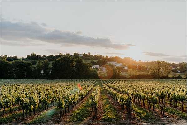 Wide landscape shot of an expansive vineyard at golden hour, with rows of grapevines stretching toward a cluster of white estate buildings visible on a hilltop in the background. Two small figures in what appears to be a red or orange garment are barely visible among the vines in the mid-ground, suggesting a couple portrait session within the vineyard. The warm backlit sunlight creates a lens flare effect across the scene. Potential venue feature image.