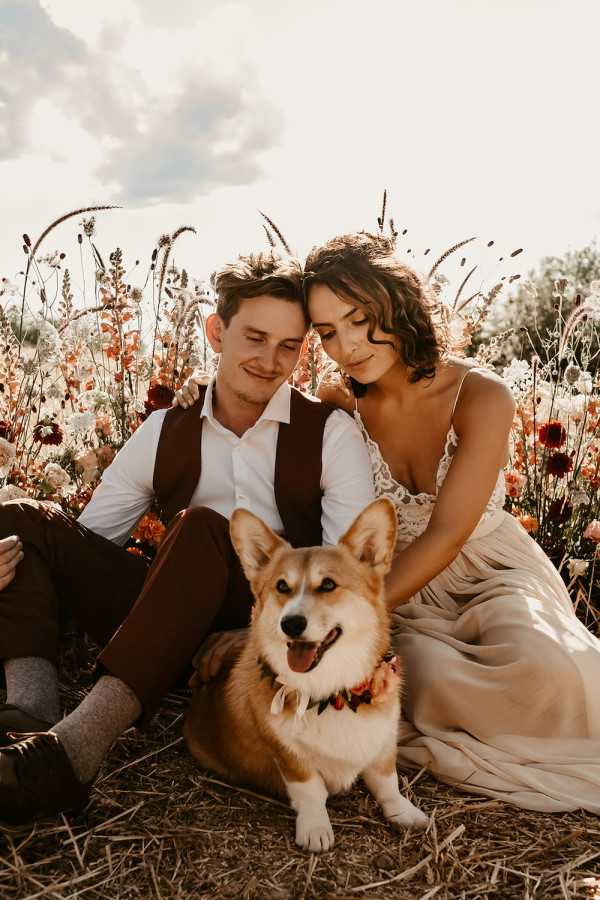 A couple sits together on dry grass in an outdoor field setting surrounded by wildflowers in warm rust, burgundy, terracotta, and cream tones, including dahlias and dried grasses. The bride wears a spaghetti-strap lace and champagne-toned flowy gown, and the groom wears a dark brown waistcoat over a white dress shirt with brown trousers. A corgi dog sits in the foreground wearing a small floral collar in matching rust and orange tones. The couple leans their heads together intimately while both resting hands on the dog. This is a mid-range portrait shot with a boho-rustic styling aesthetic and warm golden-hour lighting.