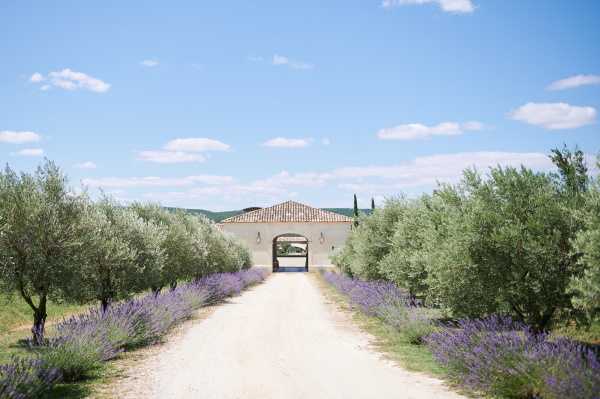 Wide exterior shot of a Provençal property entrance featuring a gravel driveway flanked by rows of purple lavender and olive trees leading to a stone gateway with a terracotta-tiled roof. The entrance arch frames a view through to a courtyard beyond, with a cypress tree visible behind the building. No people are present in the image. The composition is symmetrical and taken in natural daylight. Potential venue feature image.