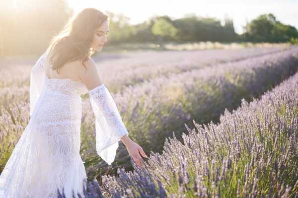A bride portrait taken outdoors in a lavender field, with rows of purple lavender blooms stretching into the background. The bride wears a white lace fitted gown with an off-the-shoulder neckline and long bell sleeves in a sheer lace fabric, styled in a boho aesthetic. She is posed in a three-quarter profile, looking downward while gently touching the lavender with one hand, with warm golden backlight creating a sun-flare effect behind her. The shot is a medium portrait with soft, glowing light typical of golden hour.