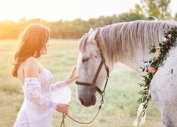 A bride in a white off-shoulder lace dress with long sleeves stands in an open field, gently touching the nose of a grey speckled horse decorated with a floral garland of peach roses, pink blooms, and greenery around its neck. The portrait is shot outdoors in a rural field setting with warm golden-hour backlighting creating a sun-flare effect. The styling is boho in theme, reflected in the intricate lace detailing of the dress and the florally adorned horse. The shot is a medium portrait framing both the bride and the horse's head in profile.