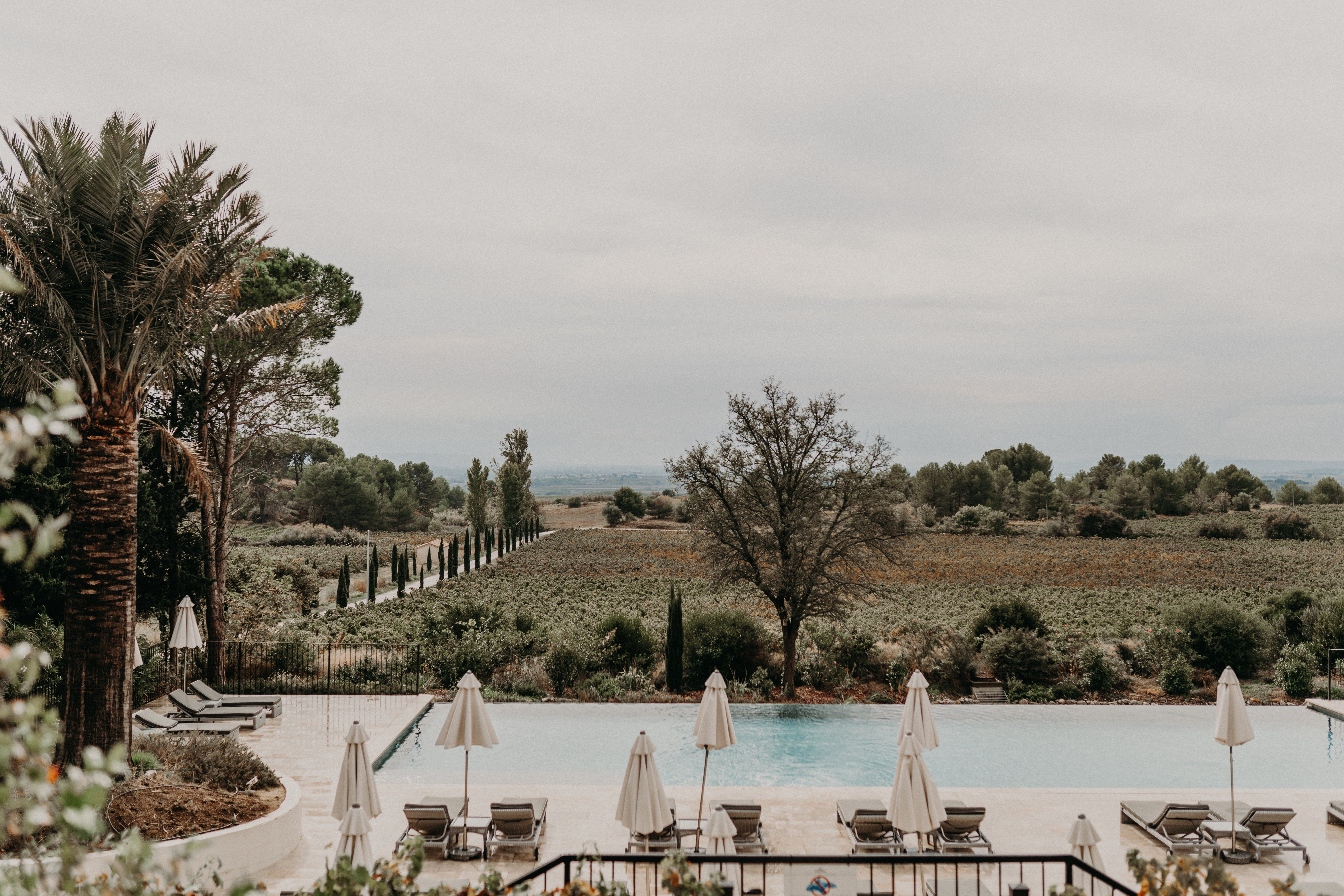 A wide-shot exterior view of an outdoor pool terrace at what appears to be a vineyard estate or domaine. The infinity pool is lined with closed cream-white parasols and dark grey sun loungers arranged symmetrically on a pale stone surround. No people are visible in the shot. The terrace overlooks an expansive vineyard with rows of vines stretching into the distance, flanked by a cypress-lined driveway. The overall palette is muted — cream, grey, and muted greens — giving the scene a quiet, off-season feel under an overcast sky. Potential venue feature image.