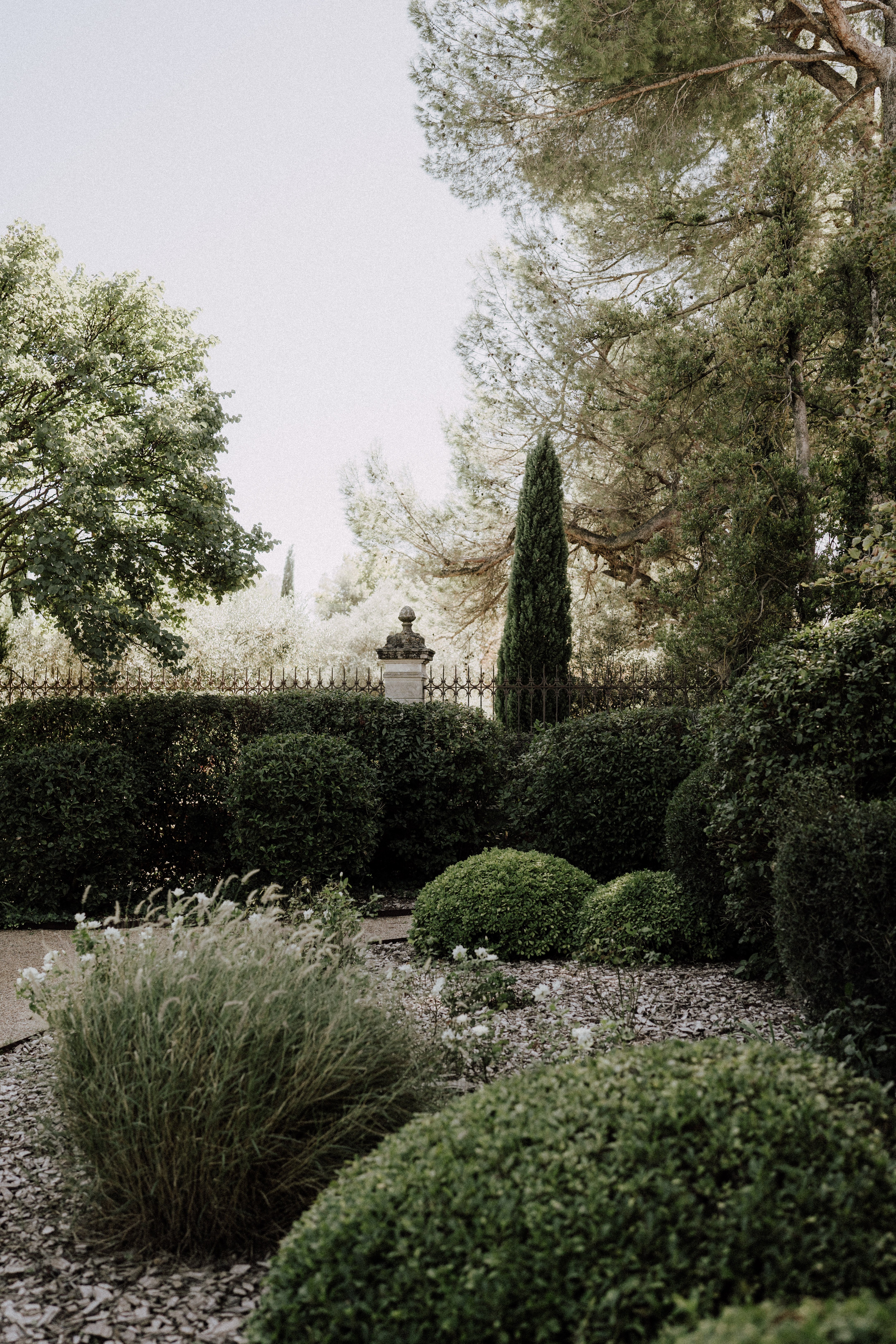 An outdoor wide shot of a formal French garden featuring neatly clipped boxwood spheres and a dense trimmed hedge in the foreground, with a gravel pathway visible between the plantings. A stone gate pillar topped with a decorative finial and ornate wrought-iron fencing are visible at the mid-ground, framed by a tall cypress tree. No people are present in the image. Potential venue feature image.