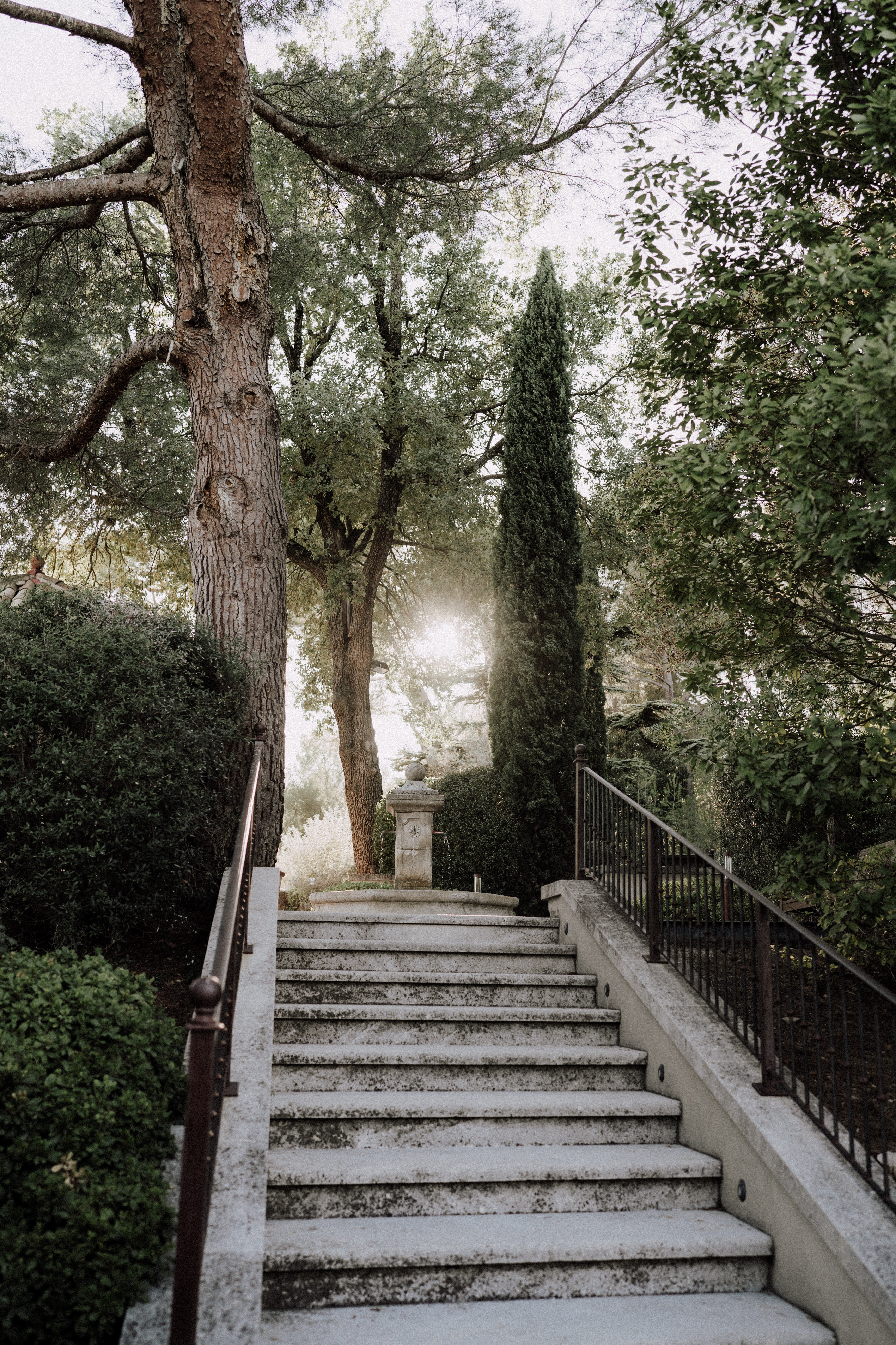An outdoor venue grounds shot showing a wide stone staircase leading upward through a formal garden setting. The stairs are weathered pale stone with dark wrought-iron railings on both sides, and a carved stone pedestal urn is visible at the top landing. The composition is a low-angle wide shot taken from the base of the stairs looking up, with soft backlight filtering through the trees. No people are present in the image. Potential venue feature image.