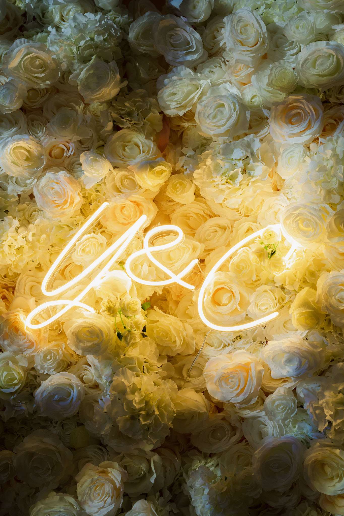 Close-up detail shot of a wedding reception decor element: a warm white neon sign displaying the initials 'Y & C' in cursive script, mounted against a floor-to-ceiling flower wall composed of densely packed ivory and soft yellow roses and hydrangeas. The neon light casts a warm golden glow on the surrounding blooms, creating a gradient effect from bright yellow-white at the center to cooler ivory and cream tones at the edges. The flower wall appears to use a mix of roses in varying stages of bloom alongside hydrangea clusters, all in a tonal white-to-butter-yellow palette, consistent with a modern classic or contemporary wedding styling approach.