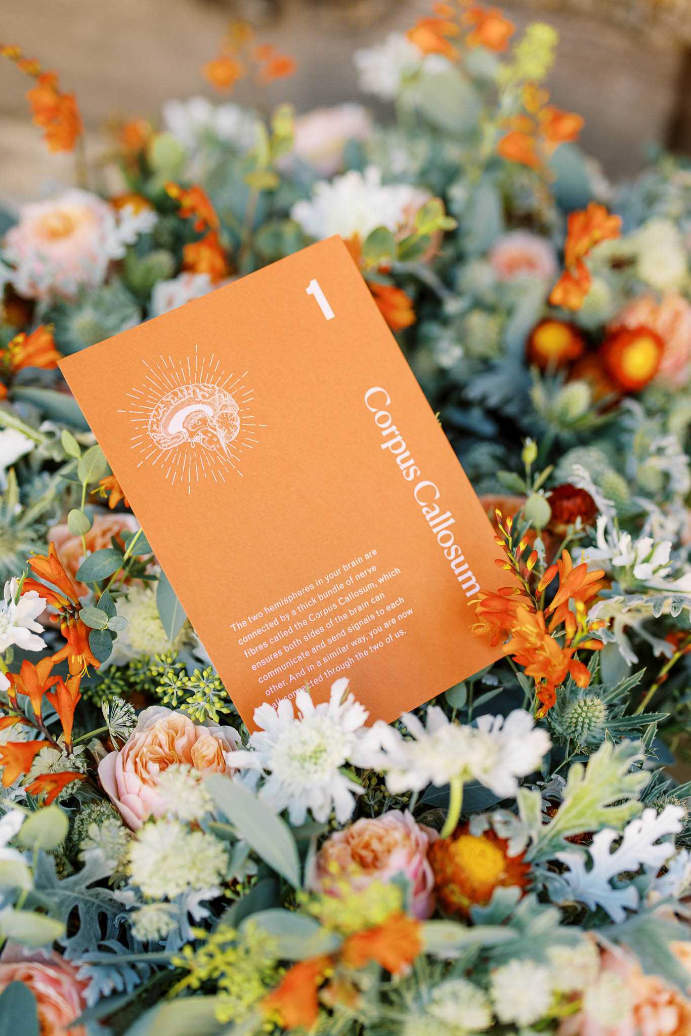A close-up detail shot of a wedding table number card propped within a lush floral centerpiece. The card is burnt orange with white typography, numbered '1' and titled 'Corpus Callosum,' featuring an illustrated brain graphic and a paragraph of explanatory text connecting the neuroscience concept to the couple's relationship — indicating a science-themed wedding. The surrounding floral arrangement includes orange marigolds, blush garden roses, white daisies, blue-green eucalyptus, dusty miller, green thistle, and small orange berry clusters, creating a warm, wildflower-inspired palette with a modern, quirky aesthetic.