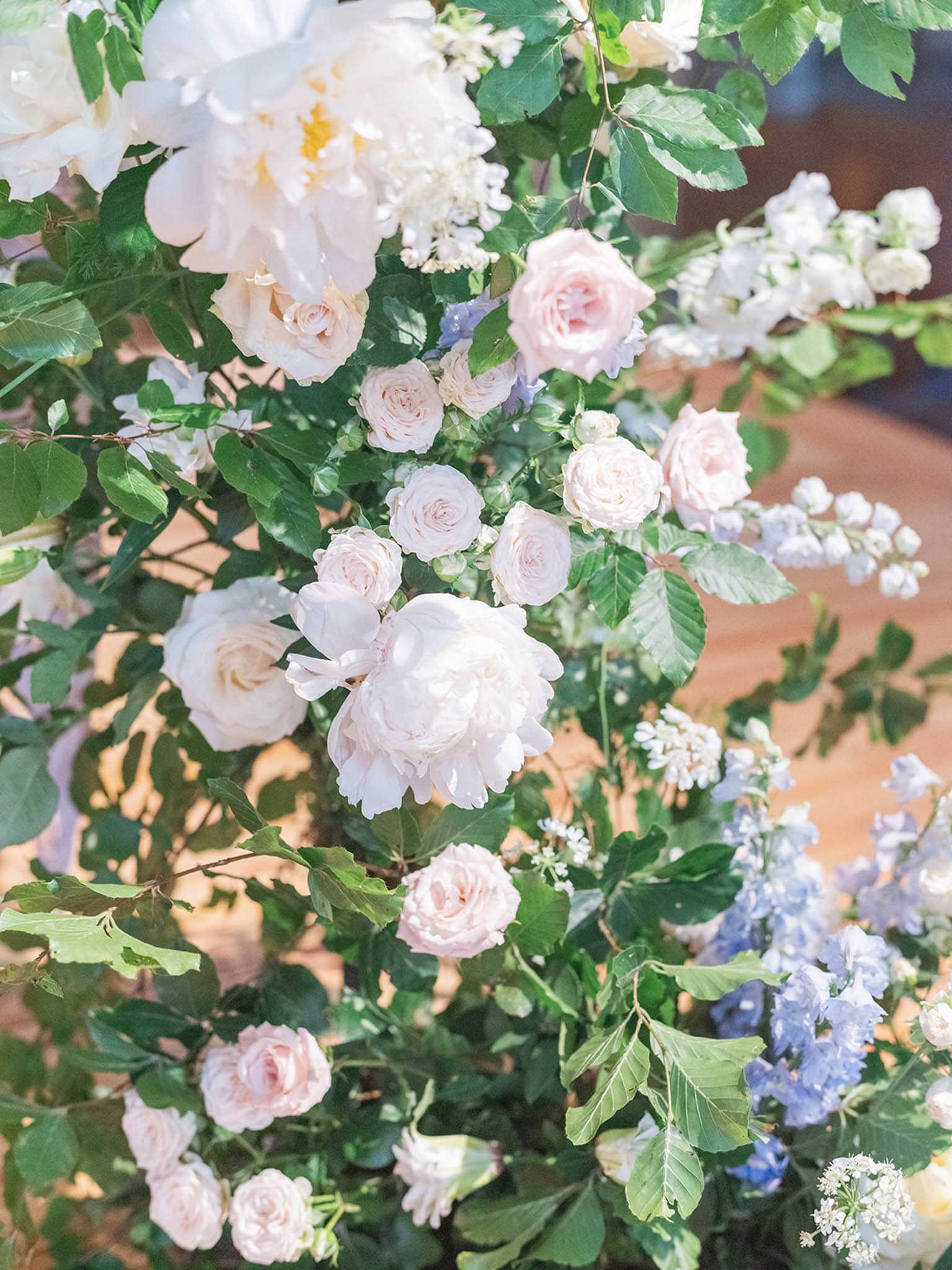 Close-up detail shot of a large floral installation, likely a ceremony arch or statement arrangement, photographed indoors with a warm wooden floor visible in the background. The arrangement is built on lush green foliage and features white peonies, blush garden roses, soft pink spray roses, periwinkle blue delphiniums, small white clustered blooms, and what appears to be queen anne's lace at the lower right. The overall palette is white, blush pink, and soft blue with abundant greenery, consistent with a romantic, garden-inspired floral design style.