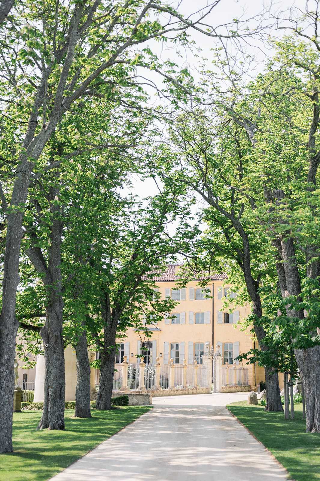 A wide shot of a French chateau's tree-lined driveway leading to a large ochre-yellow manor house with pale grey shutters, terracotta roof tiles, and ornate wrought-iron entrance gates flanked by stone pillars. The avenue is formed by mature deciduous trees whose canopies arch over the gravel path, with manicured lawn on either side. No people or wedding party are visible in this image. Potential venue feature image.