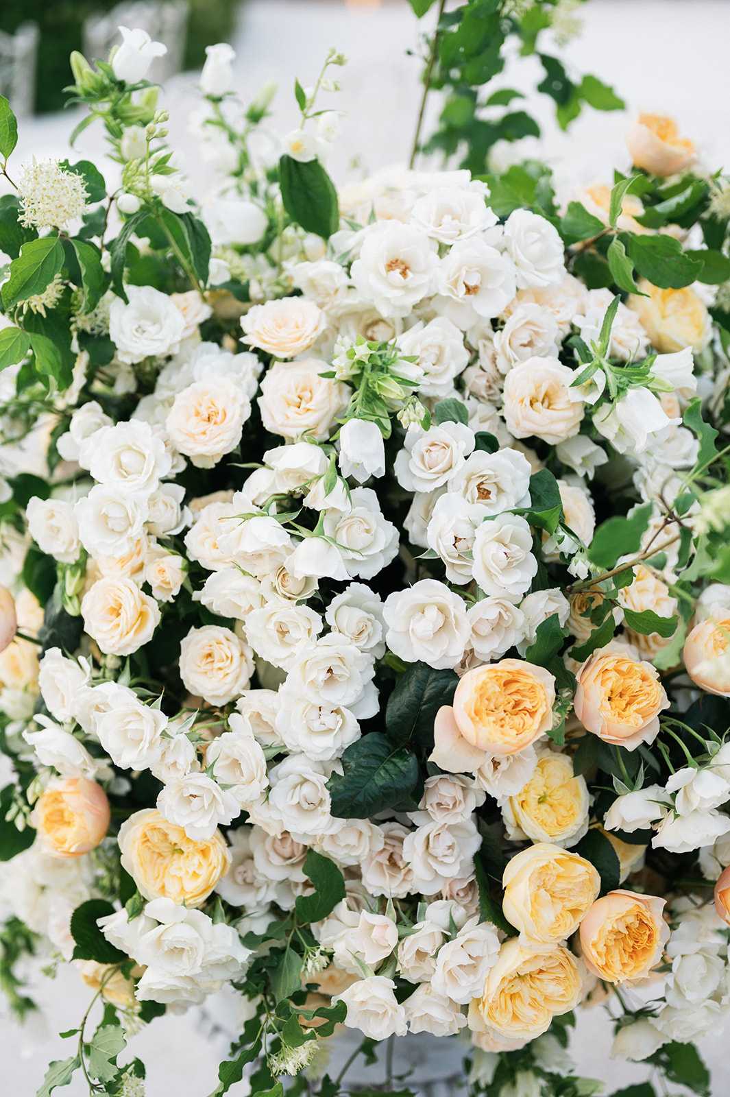 Close-up detail shot of a large floral arrangement used as wedding ceremony décor, photographed outdoors. The arrangement is densely packed with cream and white spray roses, peach-to-amber garden roses (consistent with David Austin-style varieties), small white bell-shaped blooms, and interspersed dark green foliage including leafy branches and trailing vines. The color palette centers on white, cream, blush, and warm apricot-yellow tones against rich green. The composition fills the entire frame, emphasizing the volume and layered texture of the florals, with a softly blurred white background suggesting an outdoor ceremony setting.