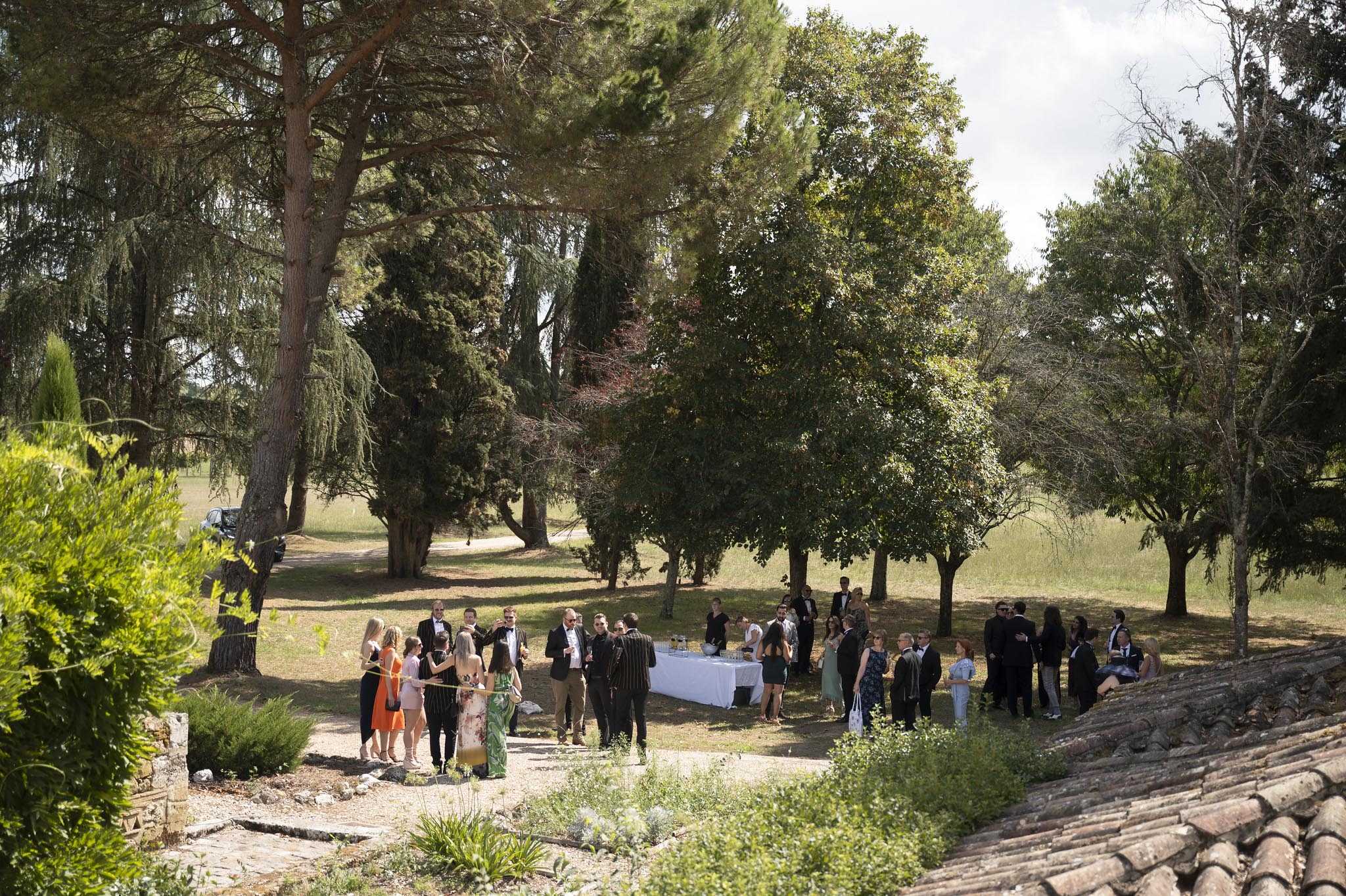 An outdoor cocktail hour taking place on the grounds of what appears to be a French country estate or domaine, photographed from an elevated wide-shot perspective showing traditional terracotta roof tiles in the foreground. Approximately 30–40 guests are mingling in small groups across a shaded lawn area, with a white-cloth-draped buffet or drinks table visible in the center background. Guests are dressed in smart formal attire — men predominantly in dark suits and tuxedos, women in colorful cocktail dresses including orange, pink, and a green floral print. The setting is entirely outdoor, with dappled afternoon sunlight filtering through a mix of tall pine, cypress, and deciduous trees, and open fields visible in the distance.