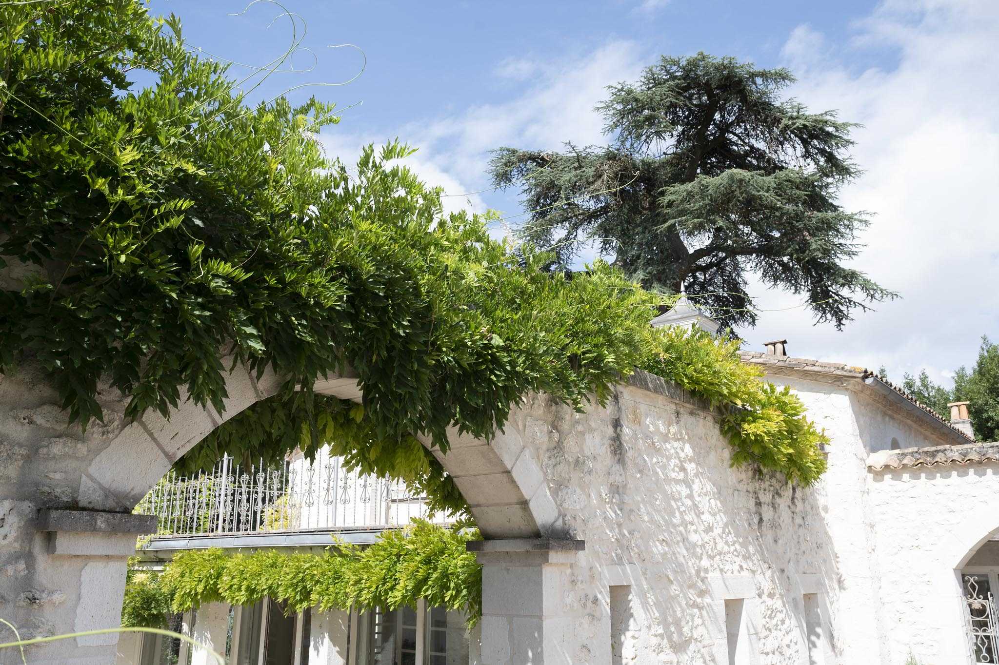 An outdoor wide-angle shot looking upward at the exterior of a French stone venue, showing a rounded archway built into a pale limestone wall with climbing vines and leafy green foliage draping across it. A white wrought-iron balcony railing is visible through the arch, and terracotta-tiled rooflines of the property extend to the right. No people are present in the frame. Potential venue feature image.
