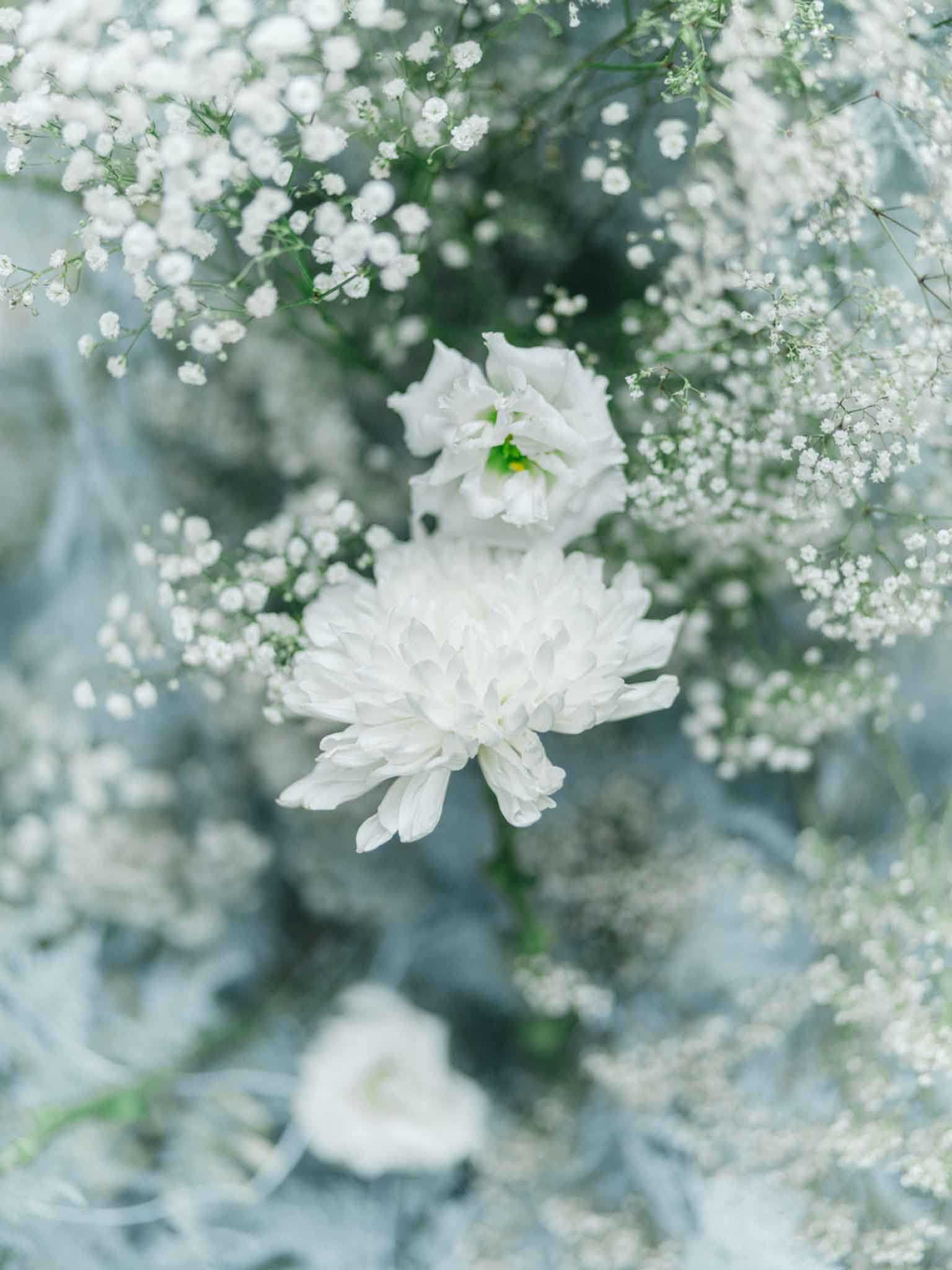 A close-up floral detail shot featuring an all-white arrangement composed of white chrysanthemums and white lisianthus blooms surrounded by dense clouds of baby's breath (gypsophila). The palette is entirely white and soft green, creating a monochromatic, airy look. The shallow depth of field keeps the central chrysanthemum in sharp focus while the surrounding blooms and background dissolve into a soft blur. The styling is classic and minimal, with no visible ribbon, vessel, or additional decor elements in frame.