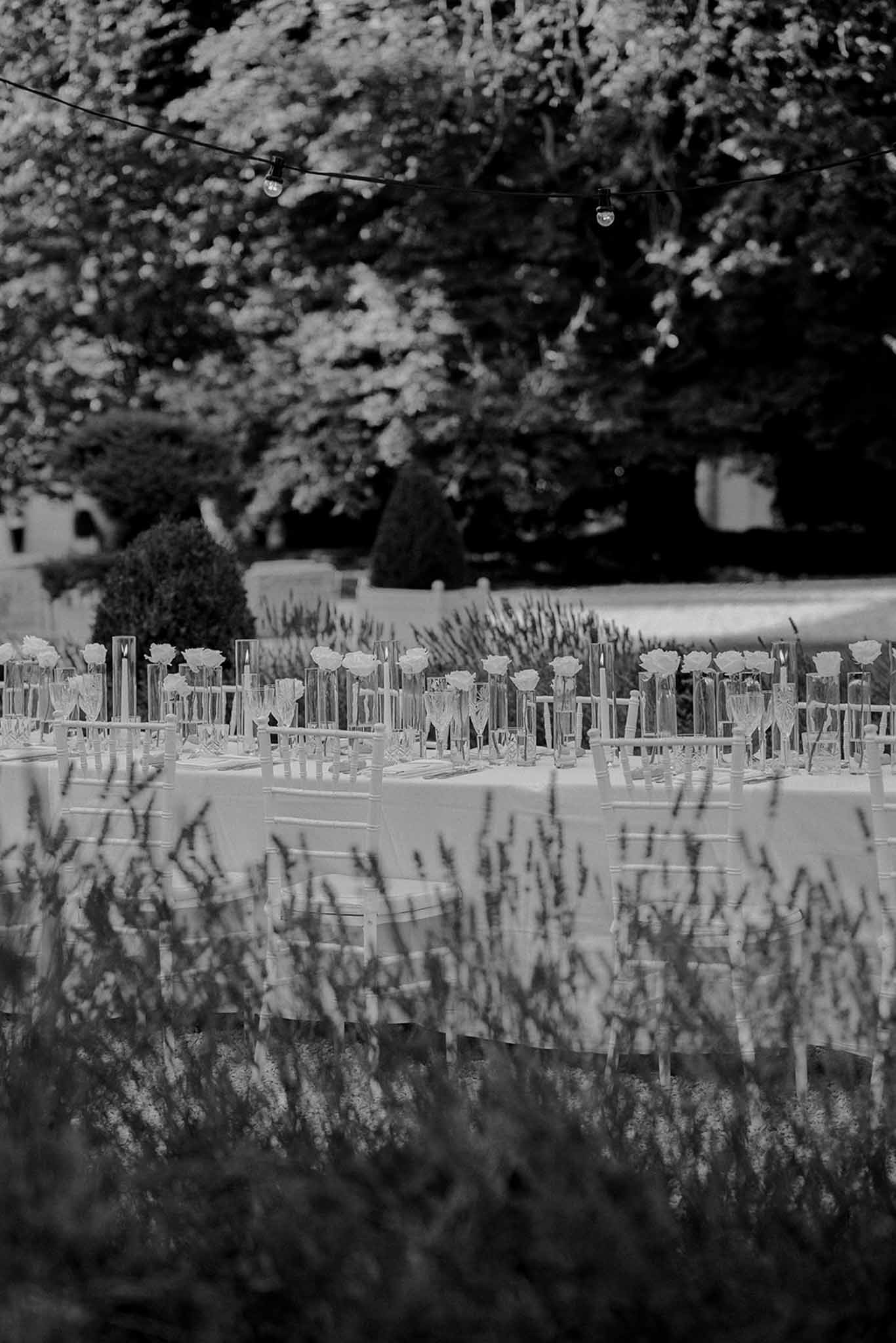 This black-and-white image shows an outdoor wedding reception tablescape set up in a garden, shot from a low angle through what appears to be lavender plants in the foreground. Long banquet tables are dressed with white linens and lined with chiavari chairs. The centerpieces consist of individual roses in tall, slender bud vases arranged in a repeating row down the length of the table, creating a clean, minimal aesthetic. Edison bulb string lights are strung overhead, and manicured topiary and a building structure are visible in the soft-focus background. The image is a wide, slightly compressed shot taken at garden level, with strong contrast between the bright table setting and the dark surrounding foliage.