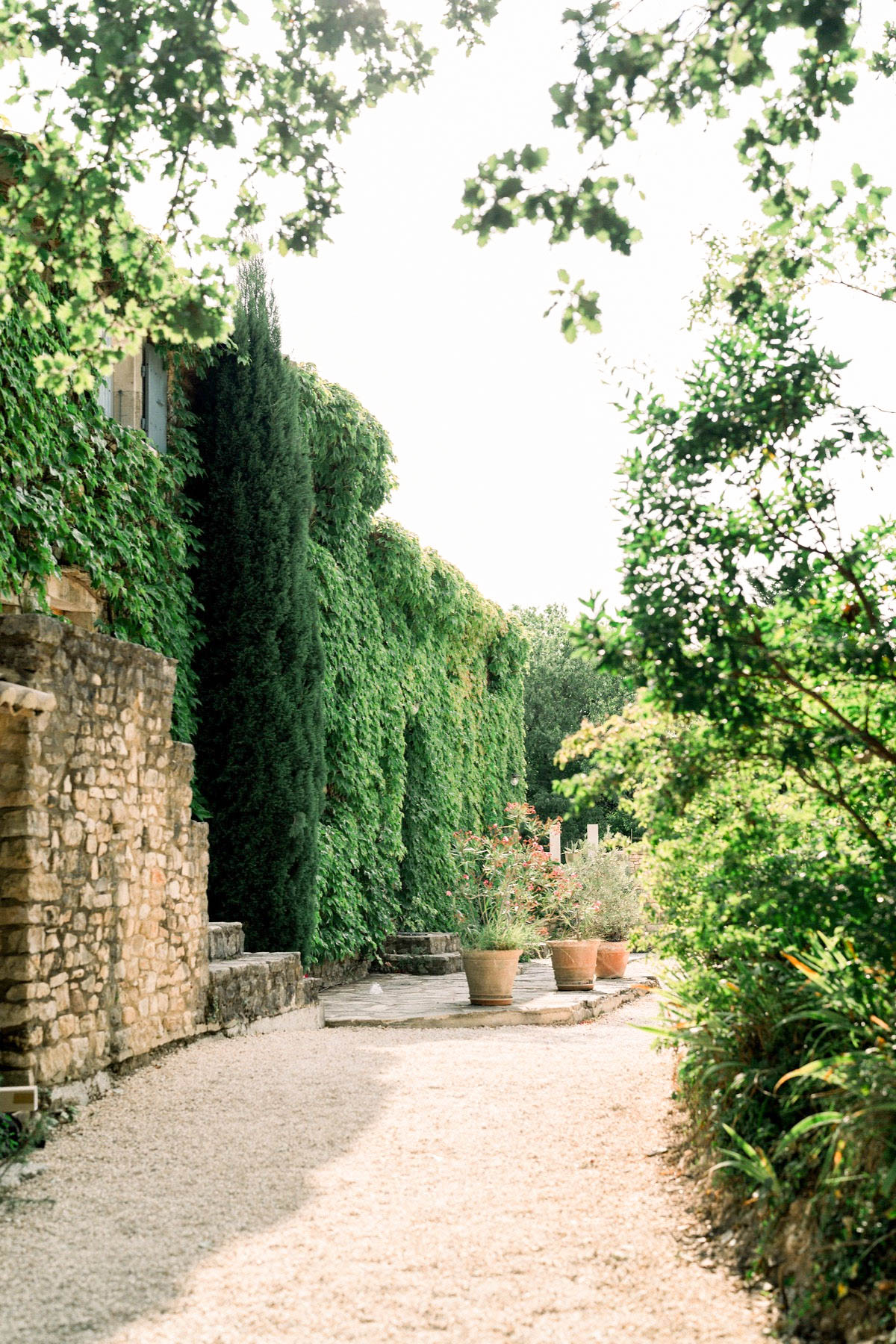 Outdoor shot of a venue's garden pathway with no people visible. The wide shot shows a gravel path leading toward a stone-paved terrace area flanked by a weathered golden limestone wall on the left, covered in climbing ivy, and lush garden plantings on the right. Several terracotta pots containing herbs and red-flowering plants are arranged along the terrace steps. Tall cypress-style trees rise against a bright, overcast sky, and overhanging tree branches frame the top of the composition. Potential venue feature image.
